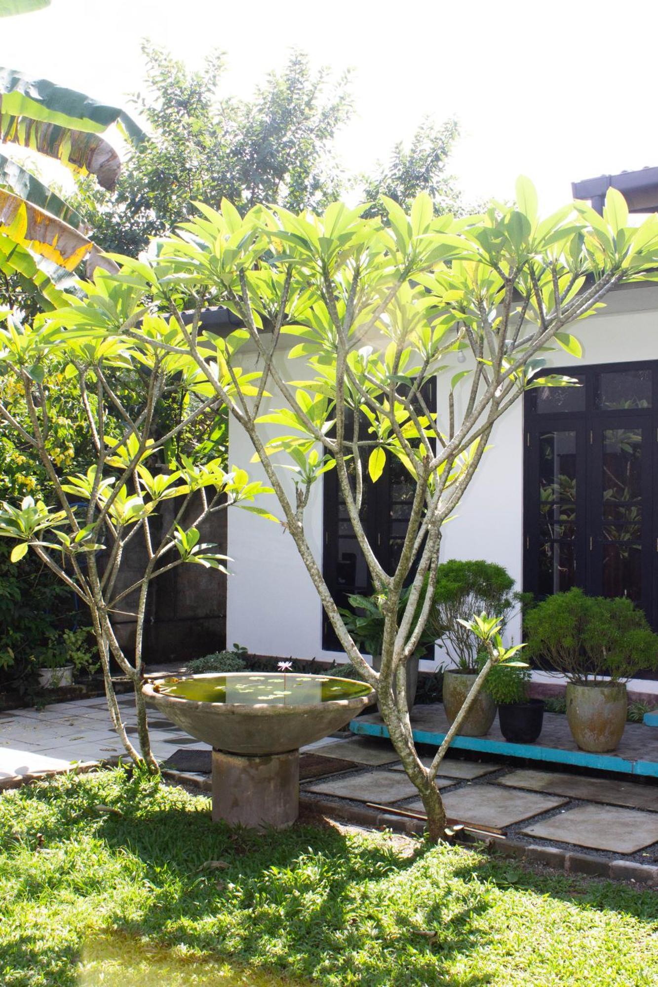 Uralsurf House Hotel Weligama Buitenkant foto
